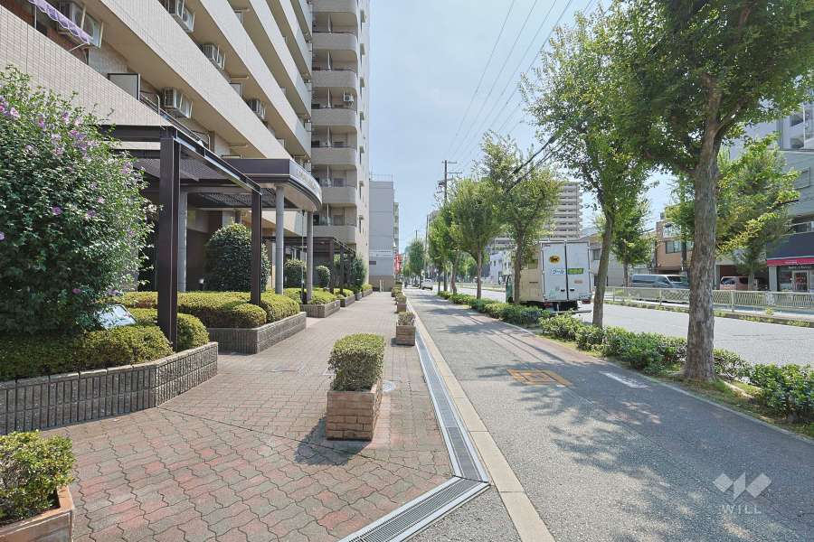 敷地の西側前面道路（北側から）