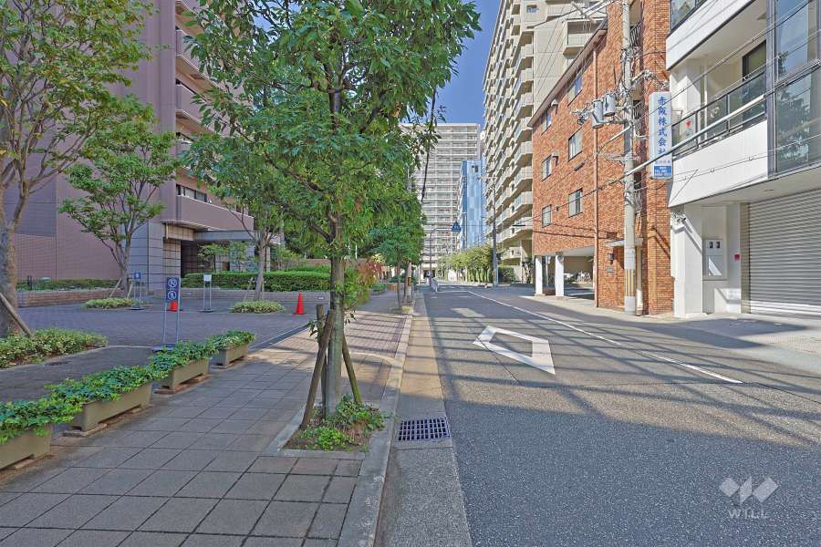 敷地の北側前面道路（東側から）。敷地南側はグラウンド、西側は『鷺洲上公園』に隣接した開放感ある立地です。