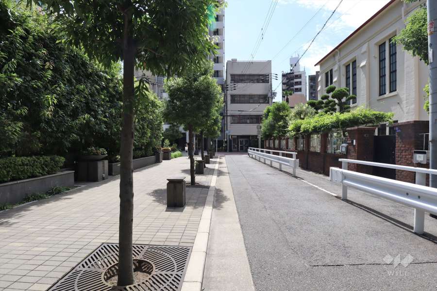 敷地西側の前面道路