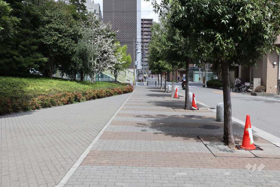 敷地東側の前面道路（南から）