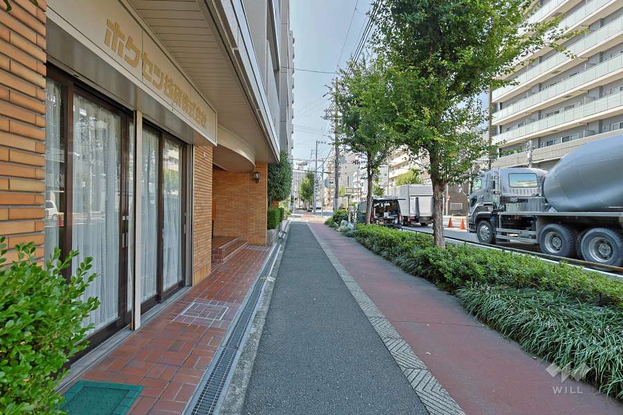 敷地北側の前面道路（東側から）