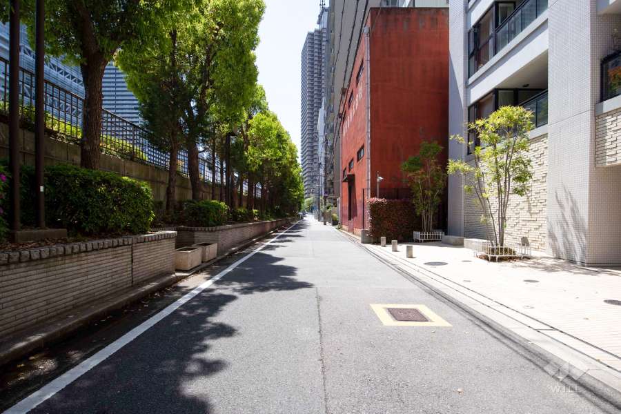 敷地南東側の前面道路(東側から)