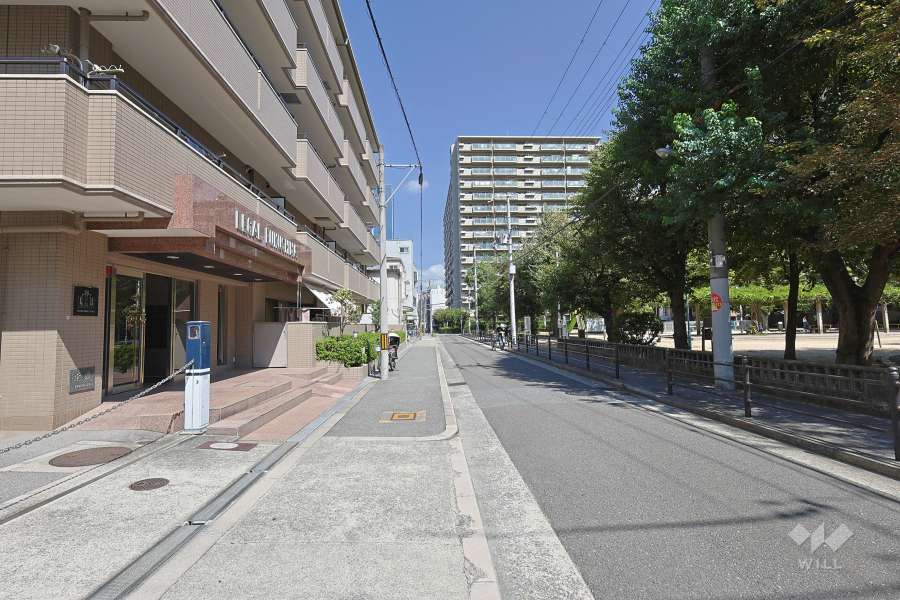 敷地の東側前面道路（南側から）