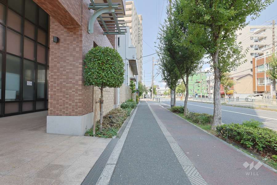 敷地東側の前面道路　
