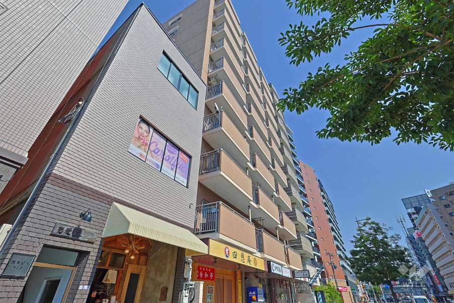 野田ハイデンスの外観（北西側から）