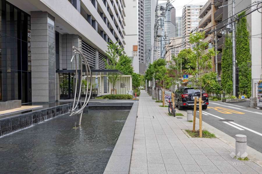 敷地南側の前面道路（西側から）