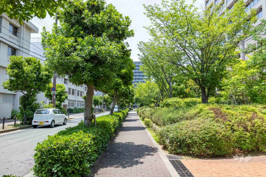 敷地南側の前面道路