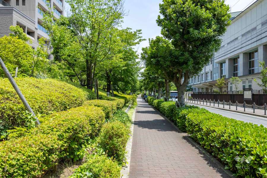 敷地の南側前面道路（西側から）