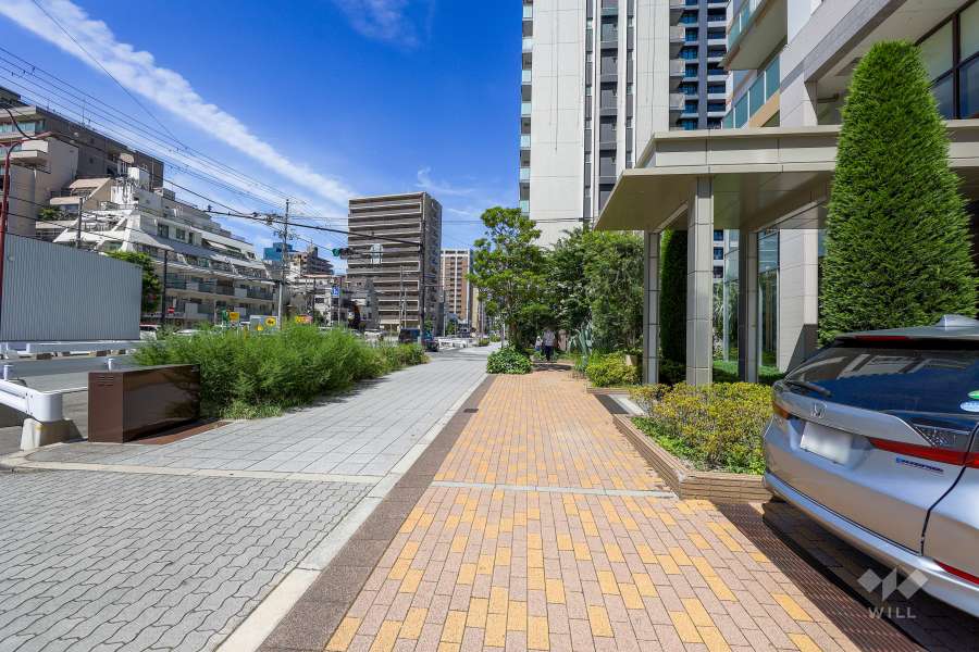 敷地南側の前面道路　