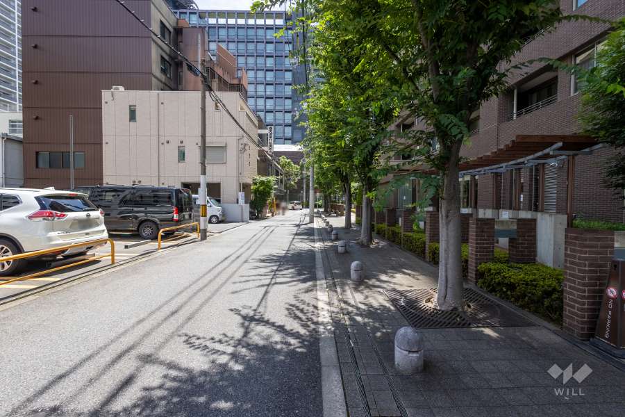 敷地北側の前面道路