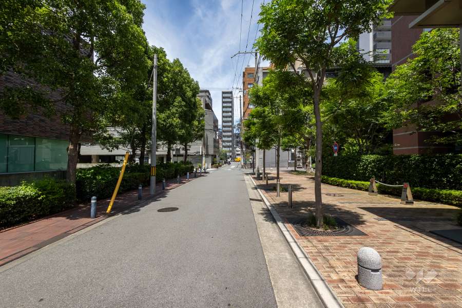 敷地北西側の前面道路