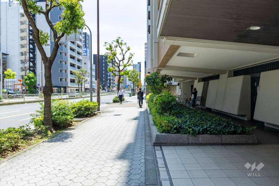 敷地東側の前面道路（北側から）