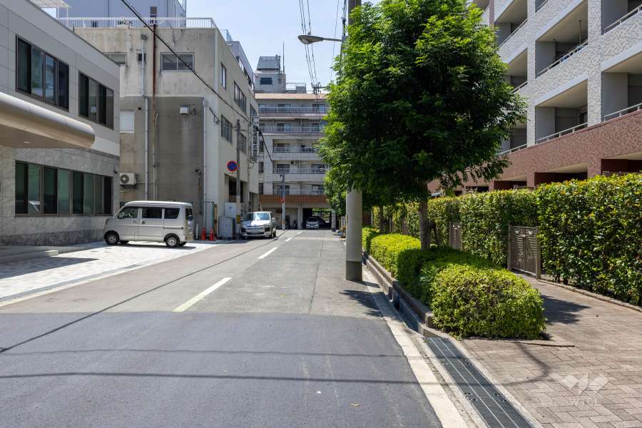 敷地南側の前面道路