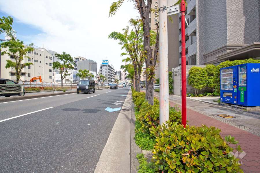 敷地北側の前面道路