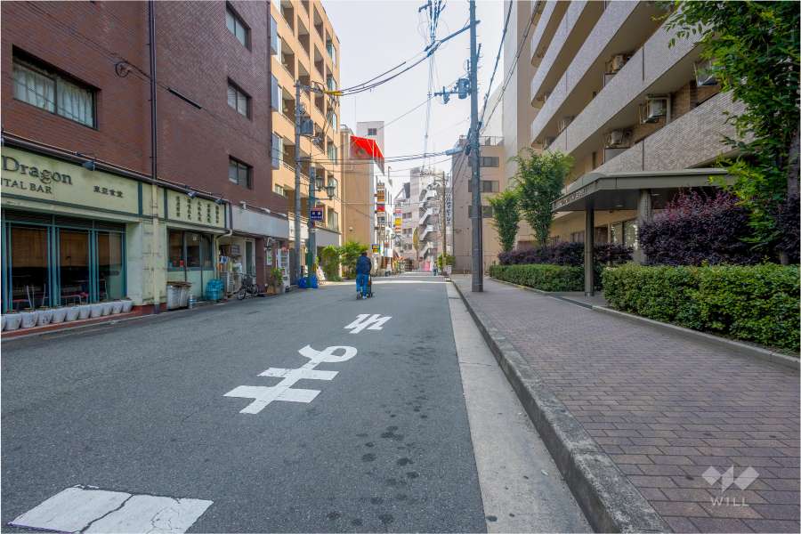 敷地南東側の前面道路（北東側から）