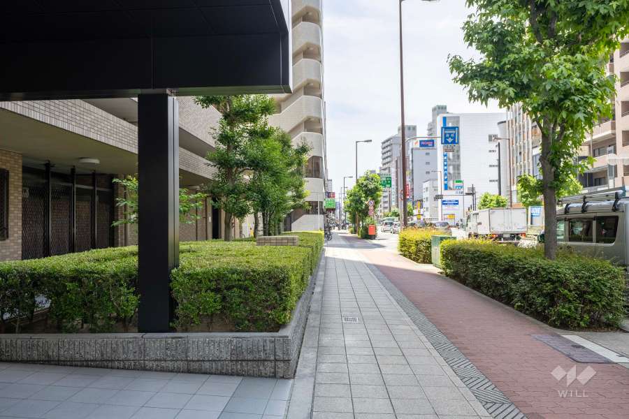 敷地の西側前面道路（北側から）