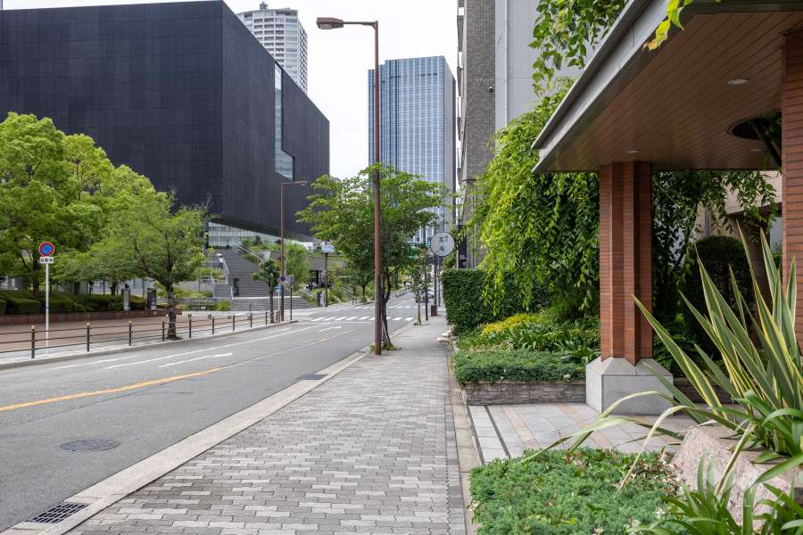 敷地西側の前面道路（南側から）