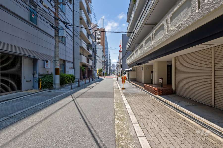 敷地西側の前面道路（南側から）
