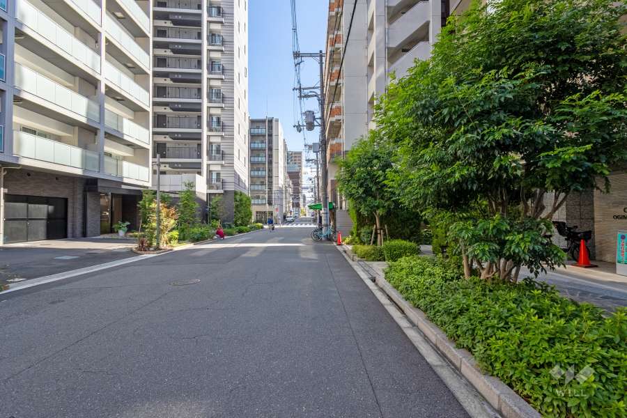 敷地東側の前面道路（北側から）