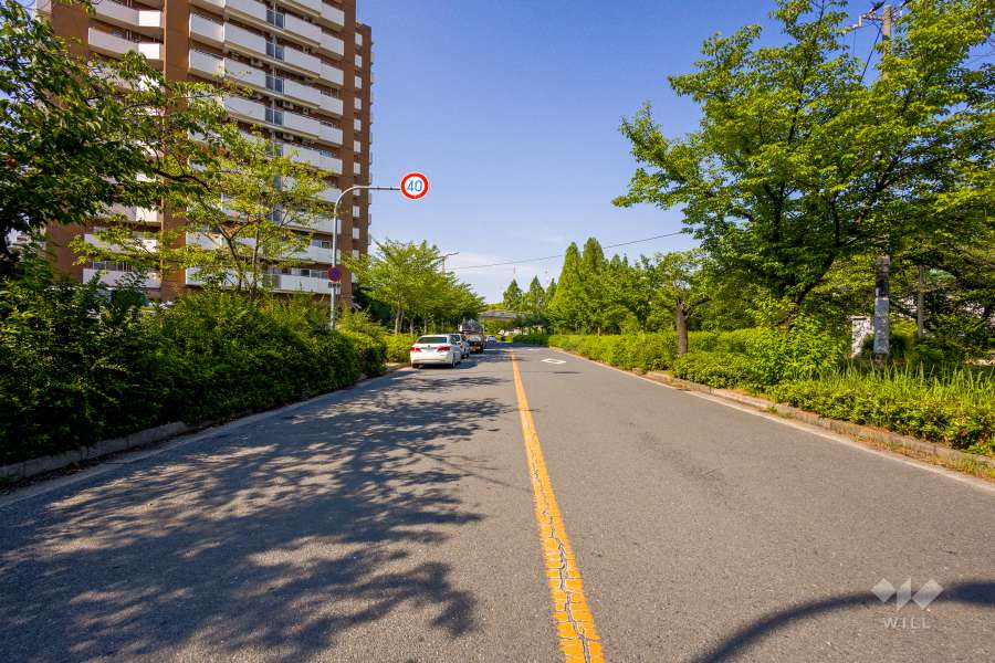 敷地南東側の前面道路（南西側から）