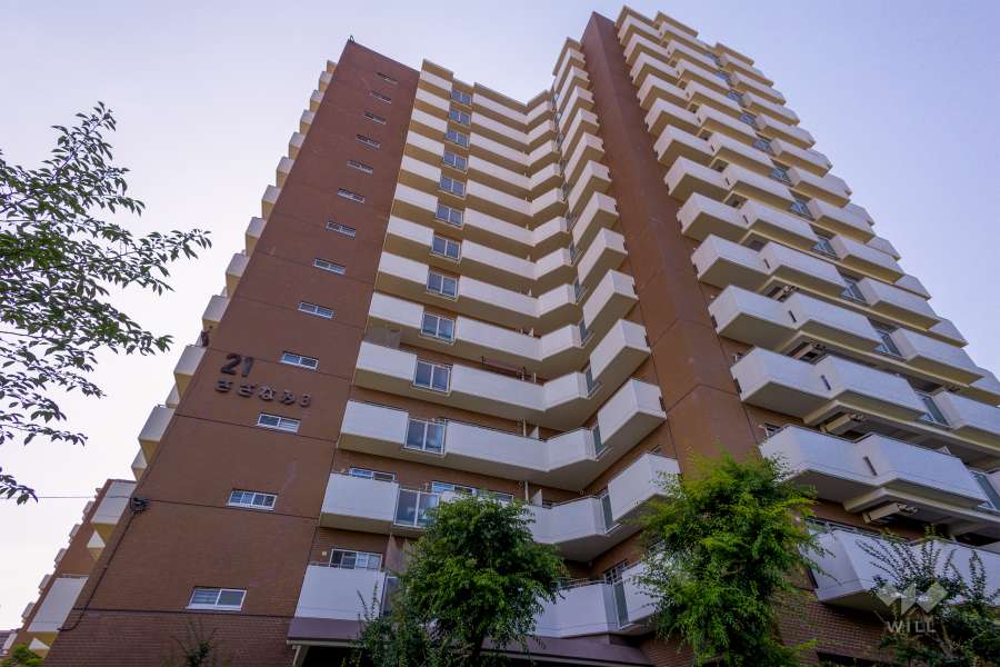 さざなみプラザ21号棟の外観（南東側から）