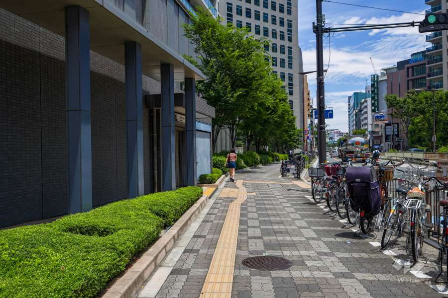 敷地の東側前面道路（南側から）