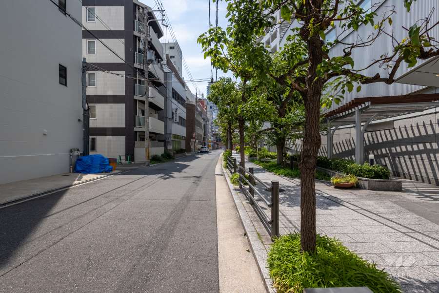 敷地の南側前面道路（東側から）