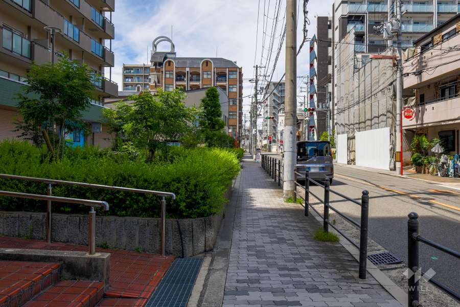 敷地東側の前面道路　