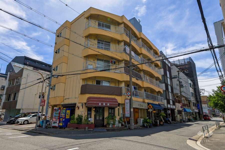 シャトー大淀の外観（北東側から）