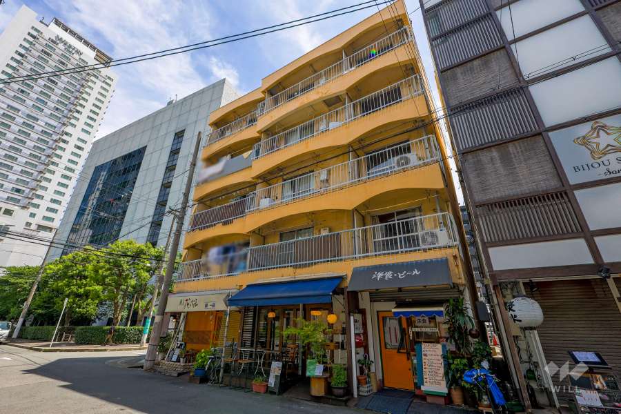 シャトー大淀の外観（北西側から）