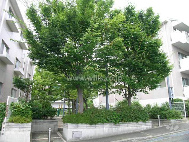 敷地に隣接する公園