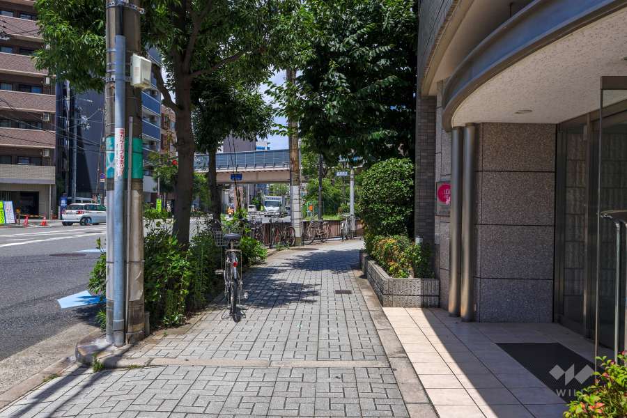 敷地の西側前面道路（南側から）