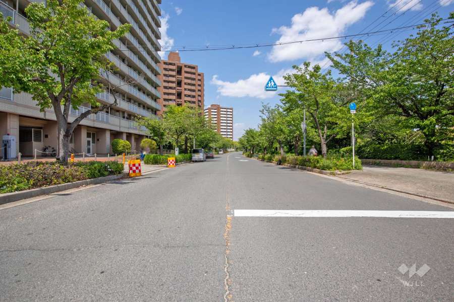 敷地東側の前面道路（南西側から）