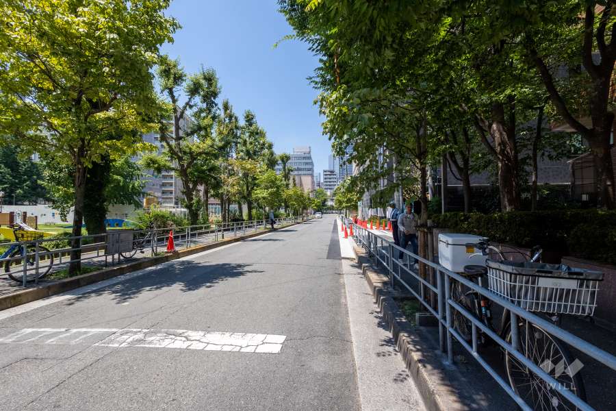 敷地の東側前面道路（北側から）