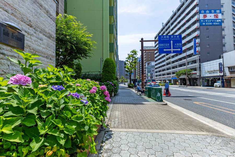 敷地西側の前面道路（北側から）