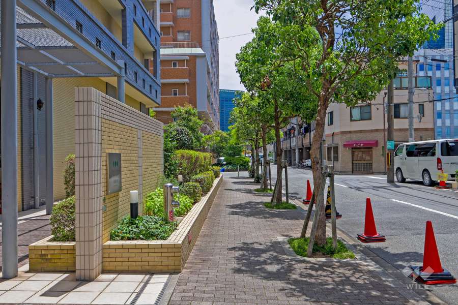 敷地の西側前面道路（北側から）