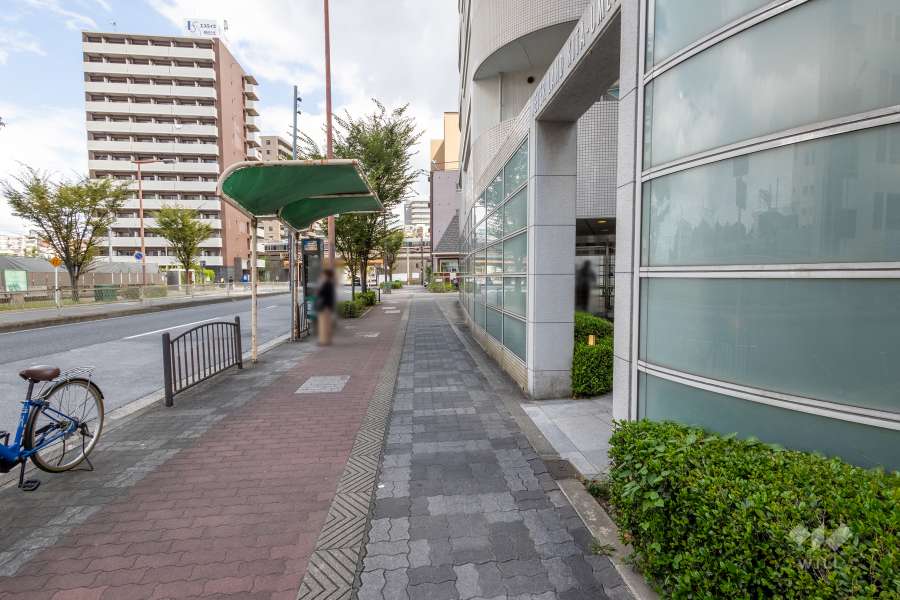 敷地の北側前面道路（西側から）