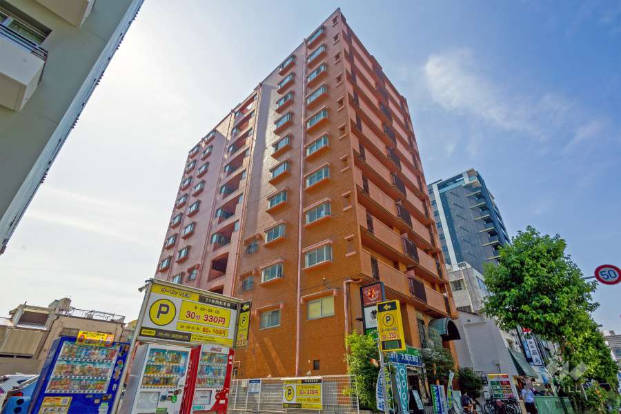 ノバカネイチ扇町の外観（南東側から）