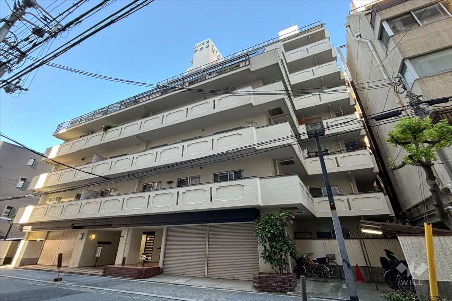 ハイネス天満橋の外観（南西側から）