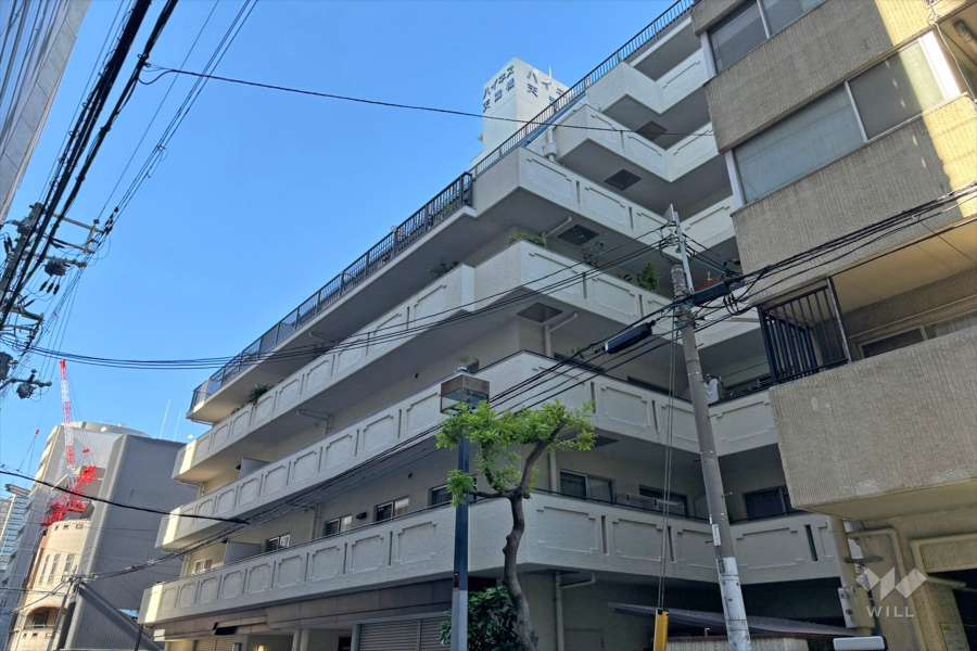 ハイネス天満橋の外観（南西側から）