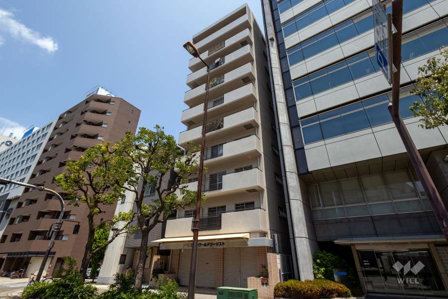 ハイラーク天満橋の外観（南西側から）