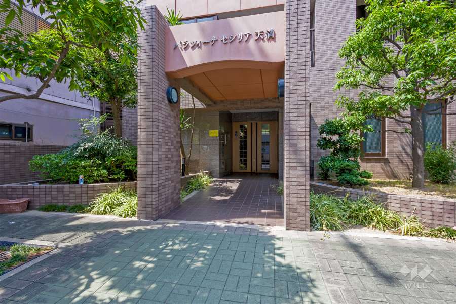 エントランスアプローチ