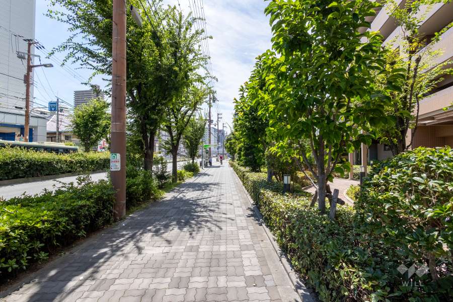 敷地の南側前面道路（東側から）