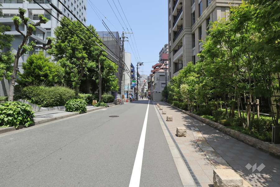 敷地西側の前面道路