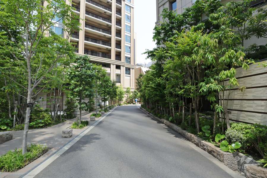 敷地南東側の前面道路　