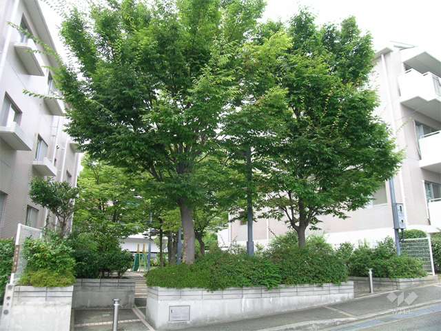 敷地に隣接する公園