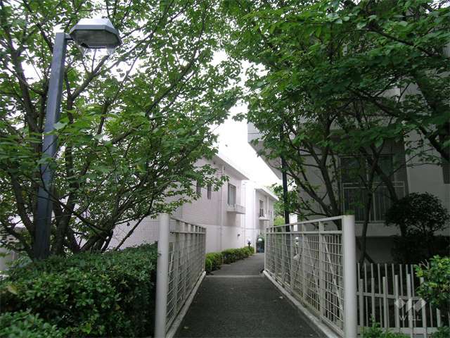 敷地内の通路。植栽スペースが多く設けられています。