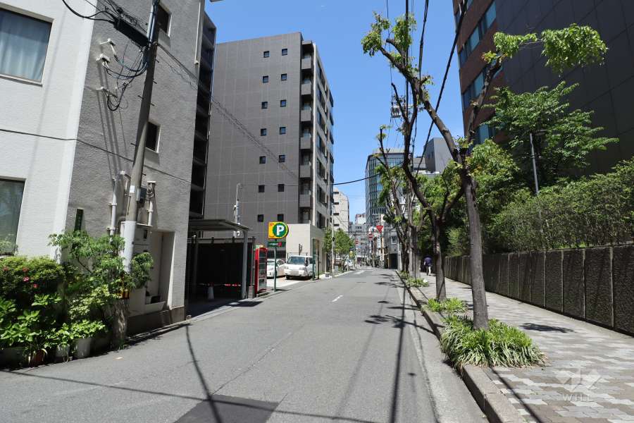 敷地東側の前面道路（南側から）