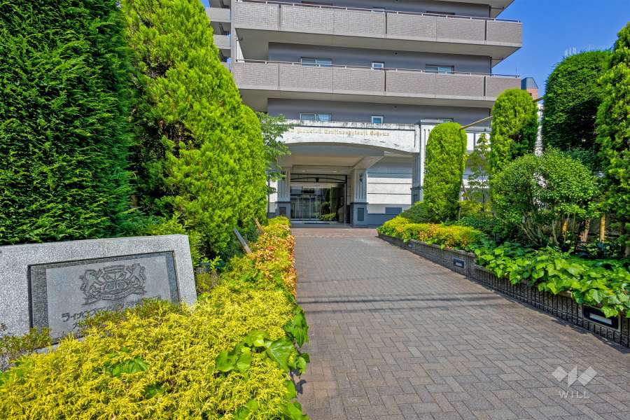 エントランスアプローチ