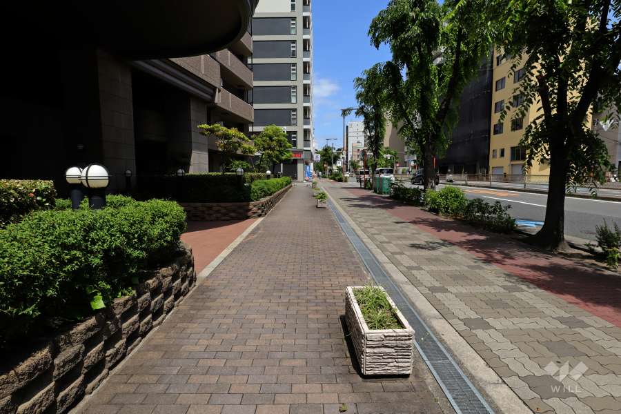 敷地南側の前面道路（西側から）